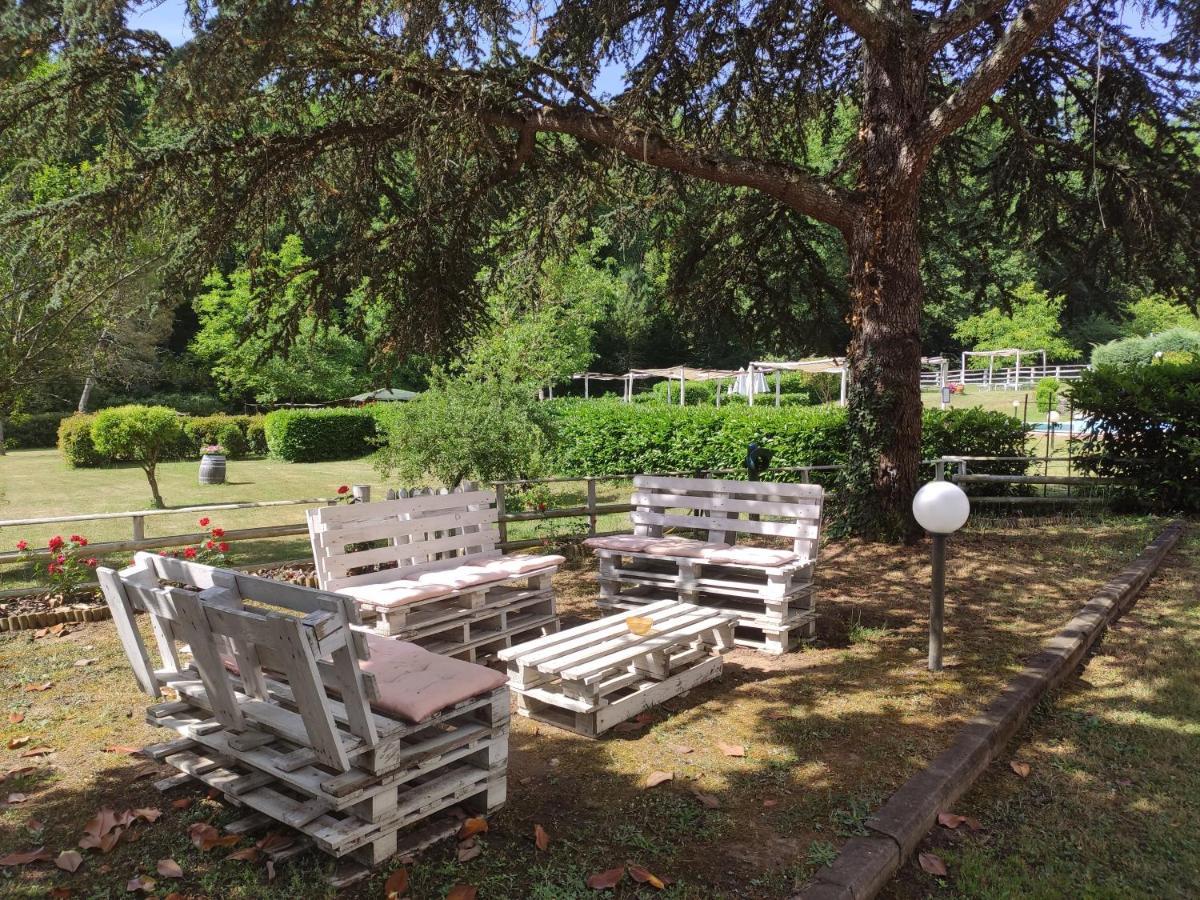 Agriturismo Valleverde サン・ジョヴァンニ・ヴァルダルノ エクステリア 写真