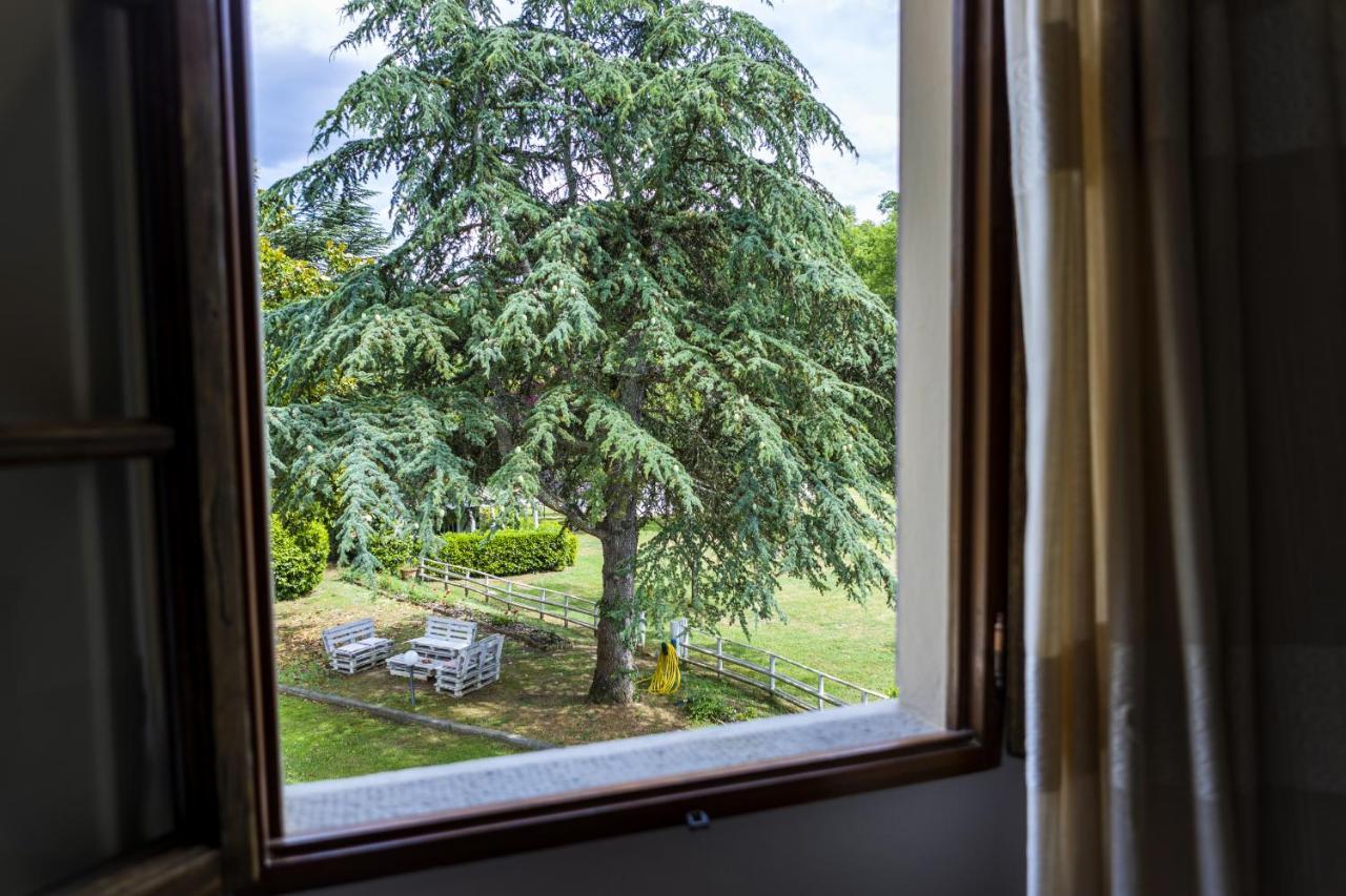 Agriturismo Valleverde サン・ジョヴァンニ・ヴァルダルノ エクステリア 写真